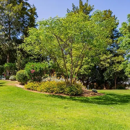 Feriehus Casa Colina 2 *